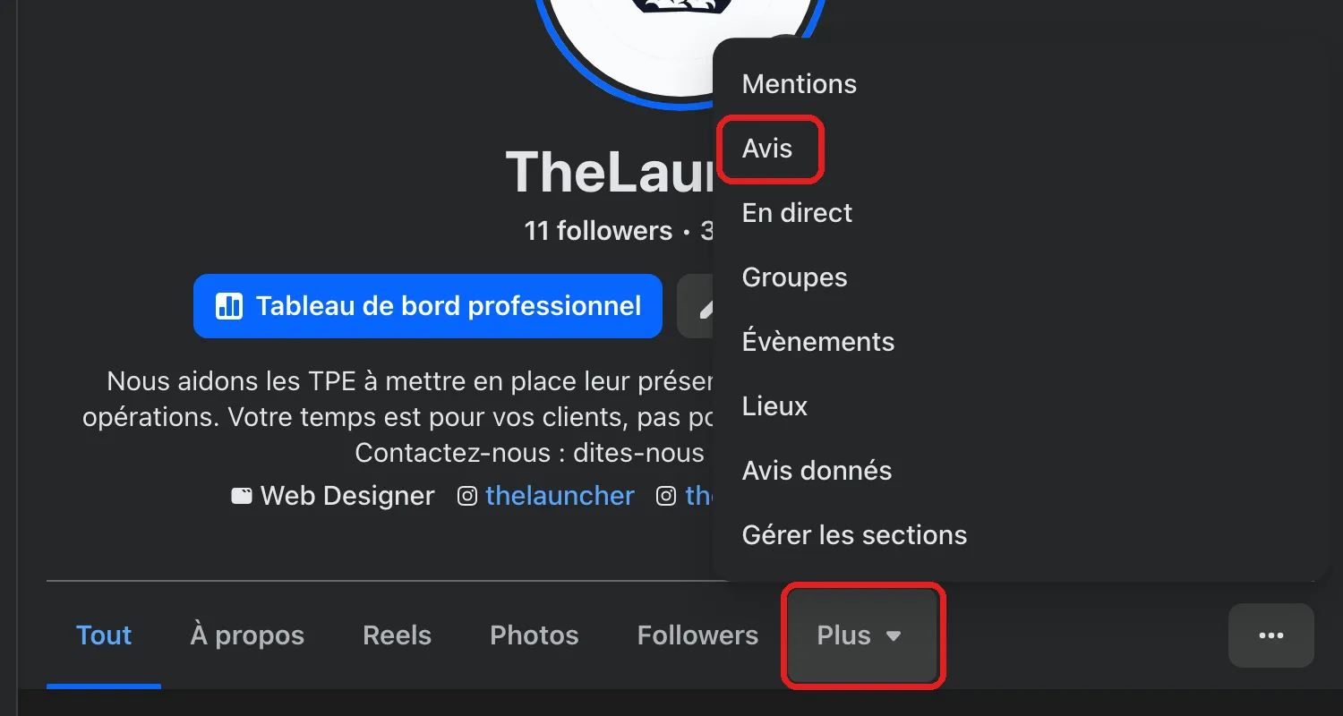 Haut de la Page Facebook TheLauncher. L'onglet Plus, sous le nom de la Page, est entouré en rouge, et dans le menu ouvert, la ligne Avis est aussi entourée.